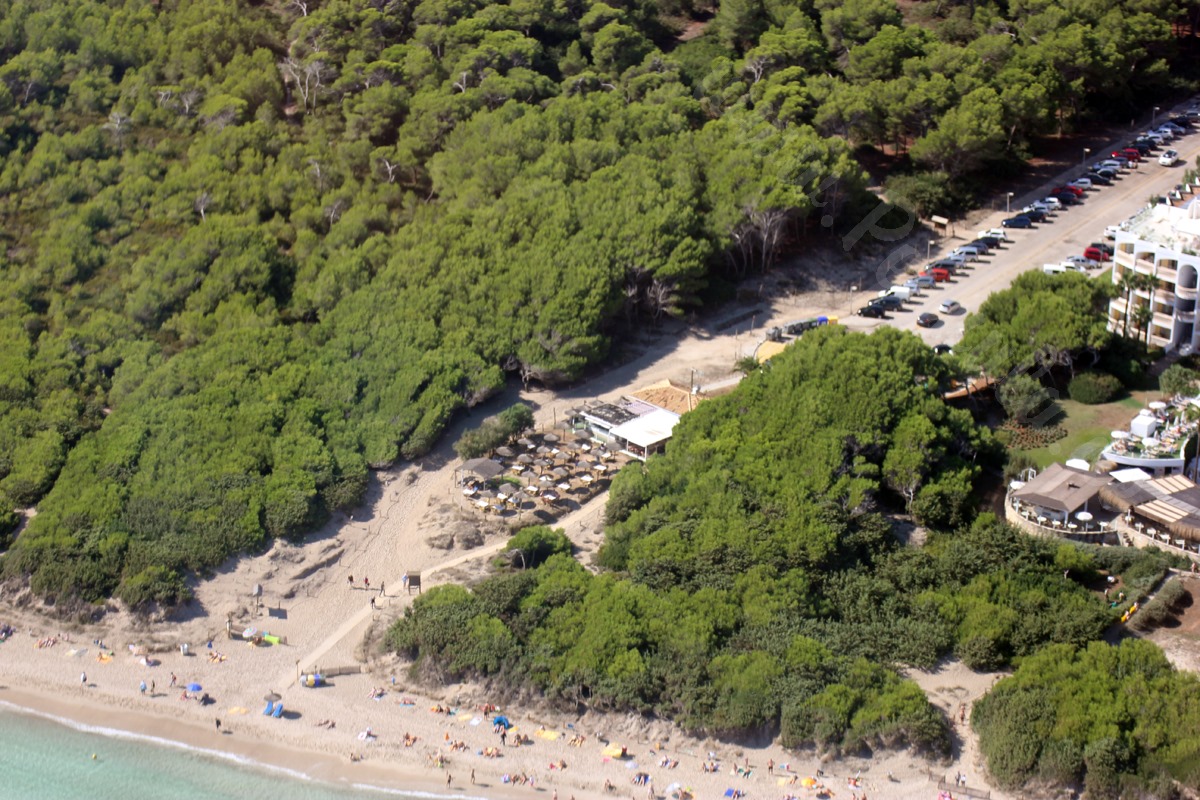 Can Picafort bzw. Ca'n Picafort Urlaub Hotel Strand und Playa de Muro Mallorca