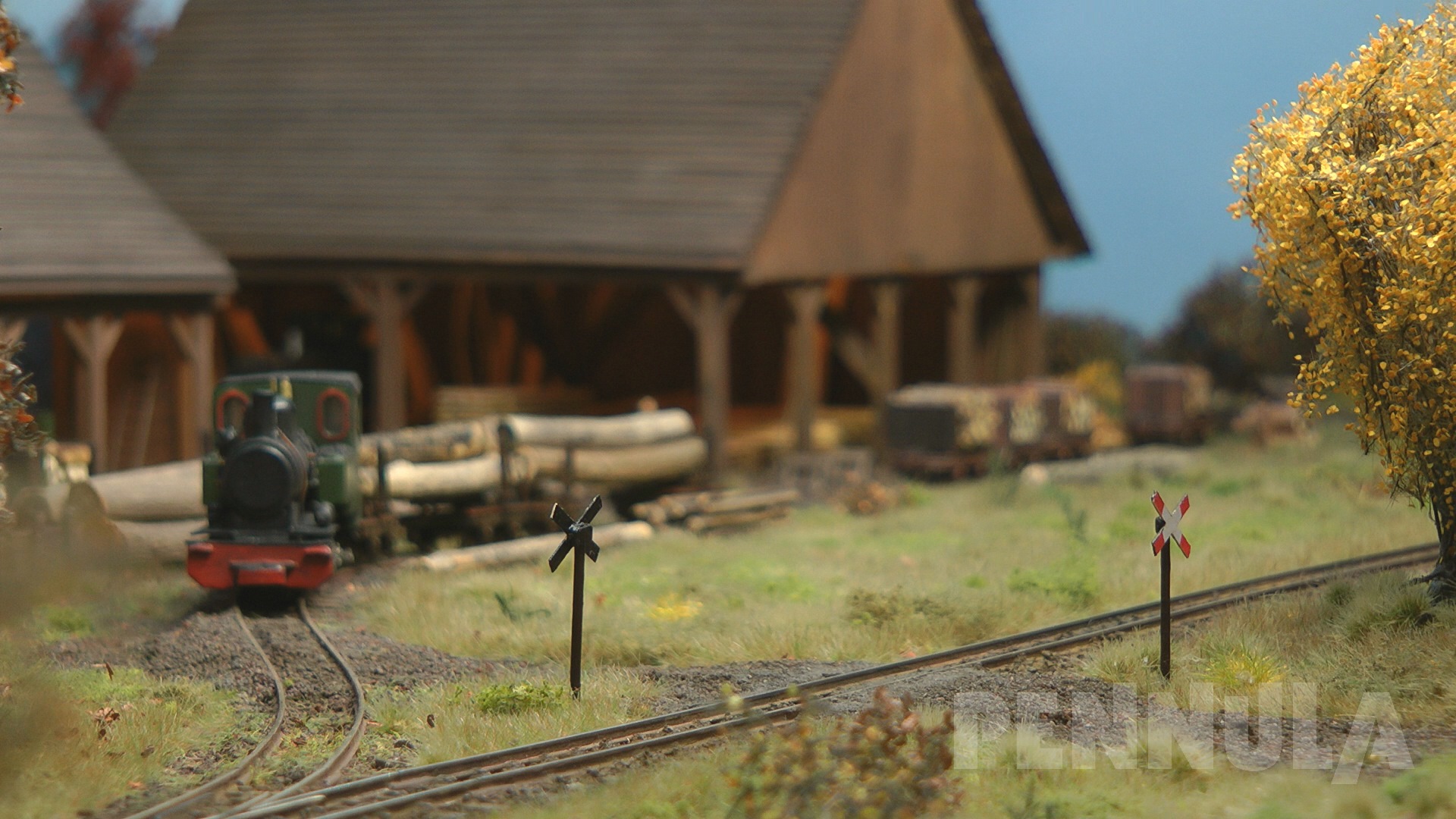 Eisenbahn im Wald mit Sägewerk - H0 Schmalspur Modellbahn Diorama aus Belgien