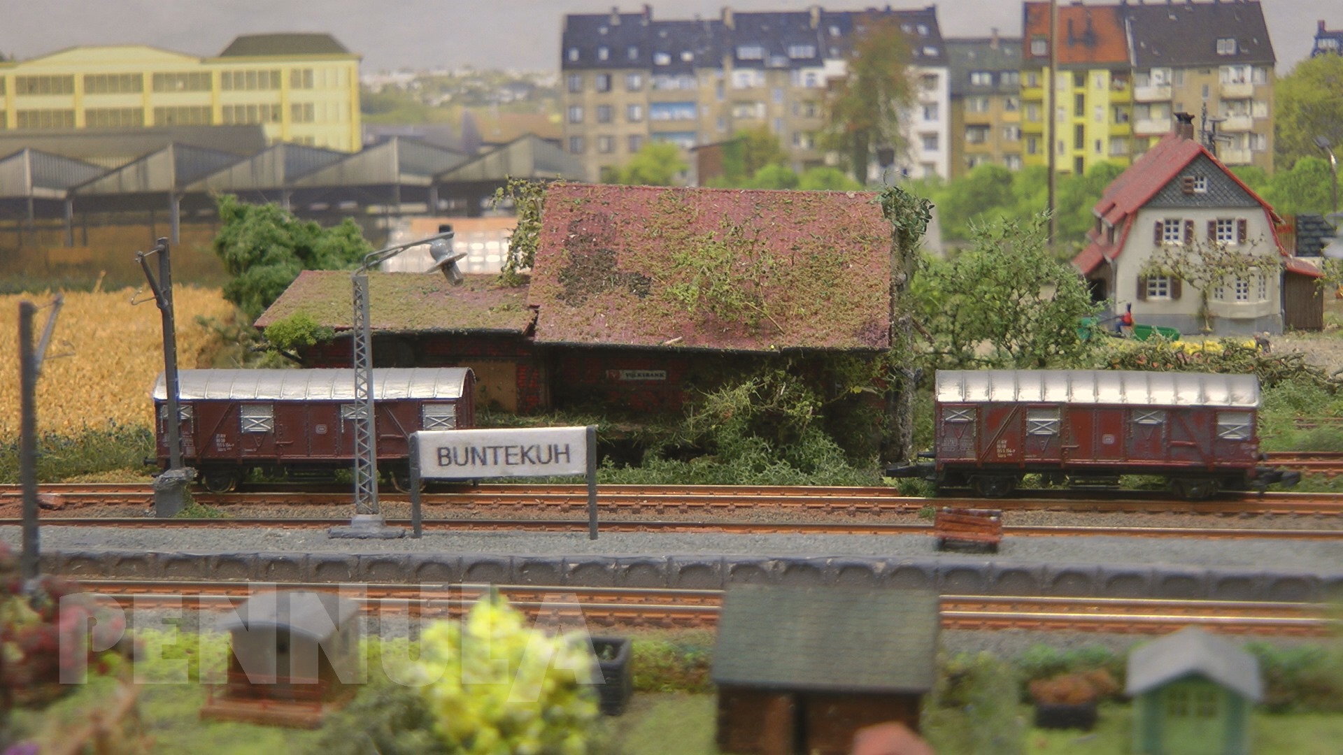 Modelleisenbahn in Spur Z „Lübeck Buntekuh“ Eisenbahnfreunde Bad Schwartau