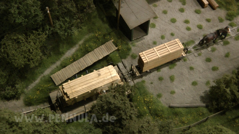Modellbahn der Rumänischen Wald Eisenbahn von Covasna Comandau von Hans Poscher