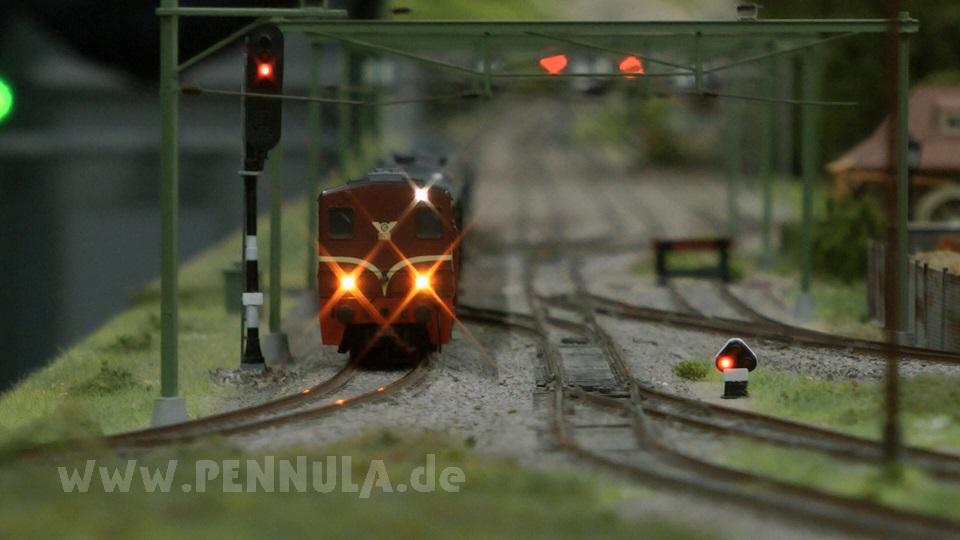 Modelleisenbahn H0 mit Tierpark vom Treinen Club Midden Nederland