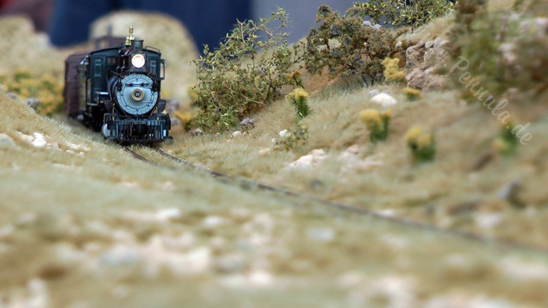 Modellbahn Rocky Mountain Railroad Studio in Spur H0n3