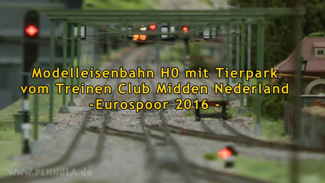 Modelleisenbahn H0 mit Tierpark vom Treinen Club Midden Nederland