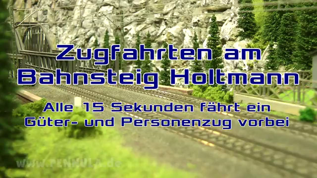 Zugfahrten am Bahnsteig Holtmann - Alle 15 Sekunden ein Güterzug und Personenzug